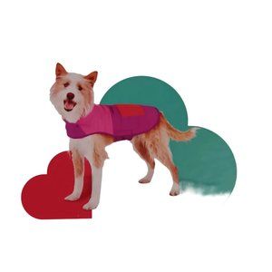 BOOTS&BARKLEY MEDIUM PINK VEST